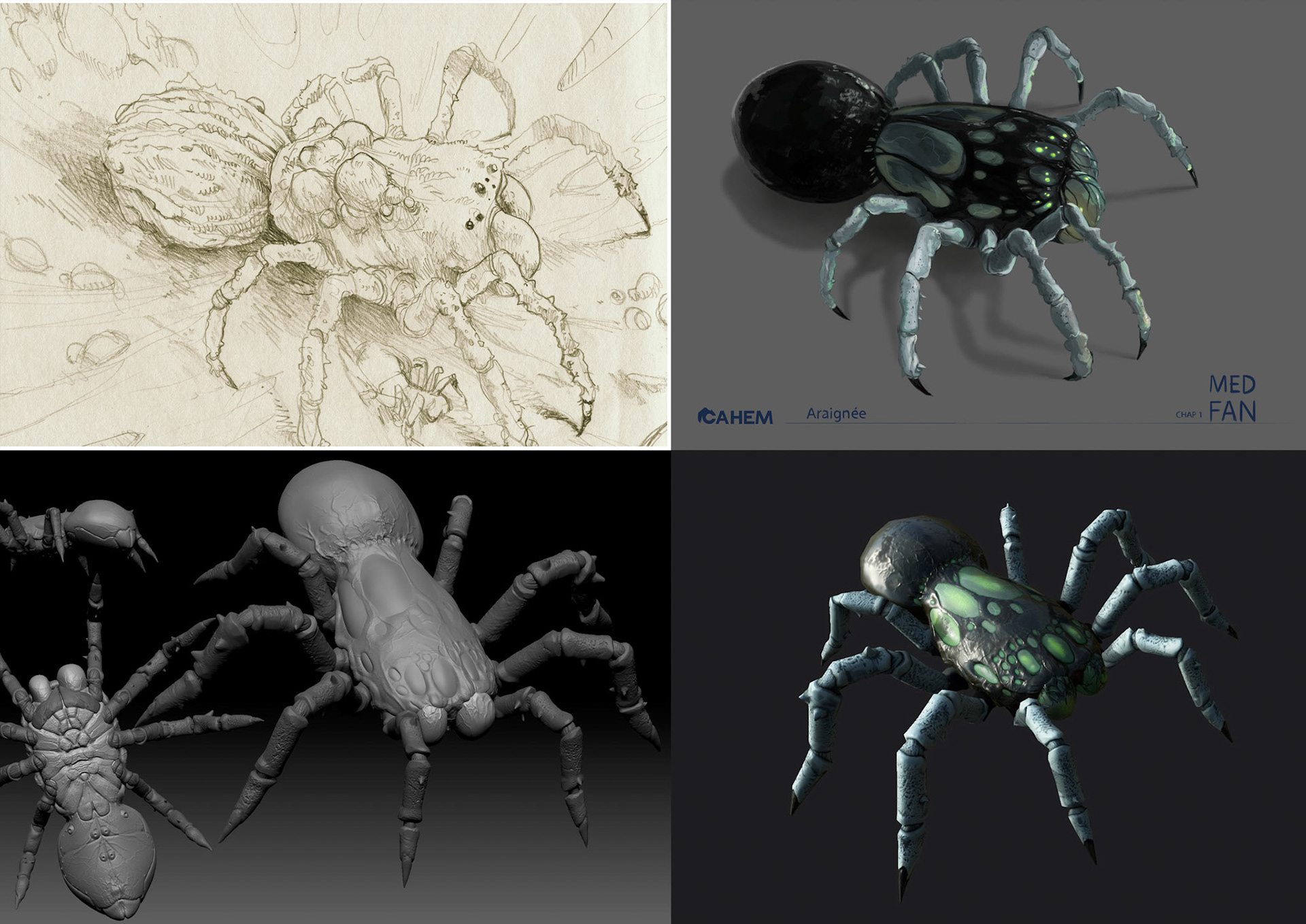 Modélisations réalisées par Tokkun Studio
