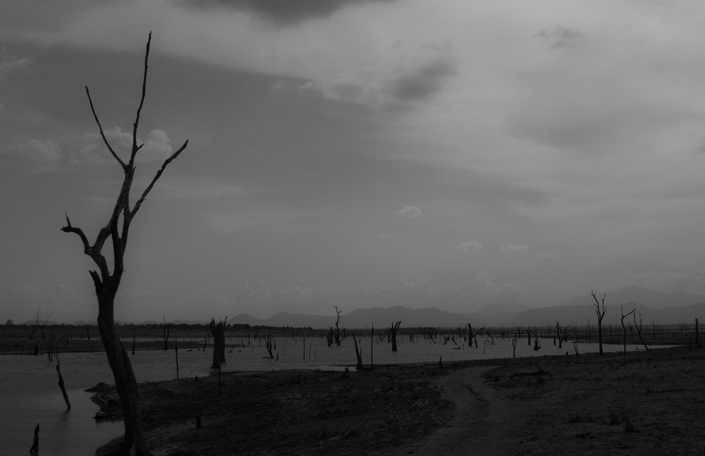 Devastated, Sri Lanka, 2008