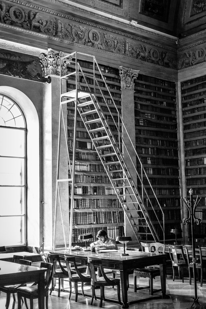 Reading, Parma, Italy, 2016