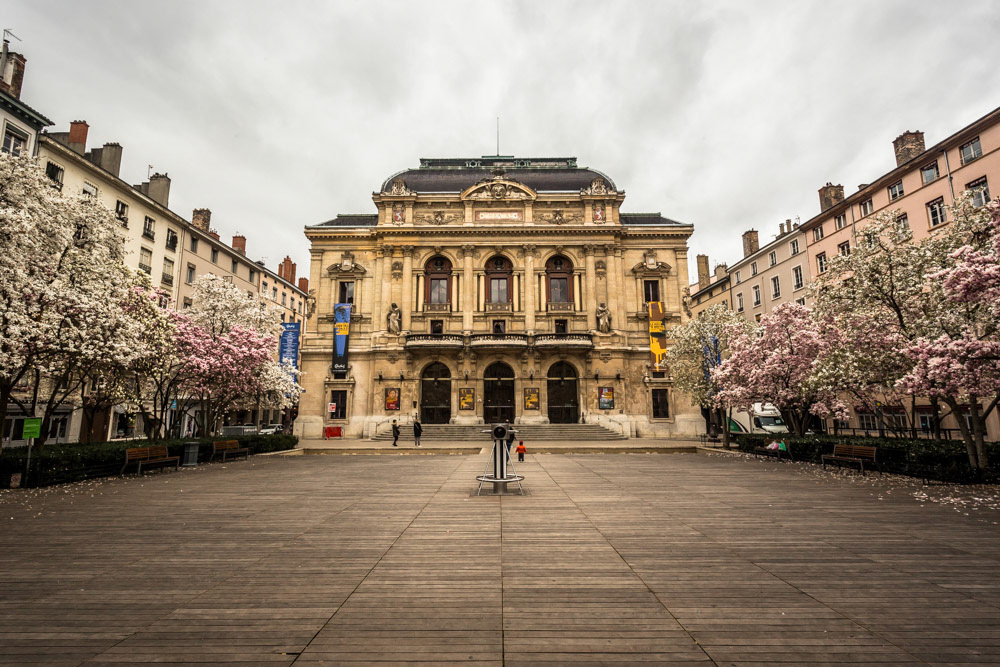 Spring iis coming, Lyon, France, 2015