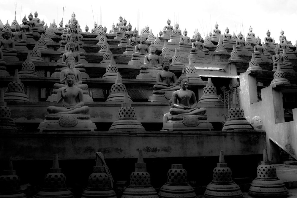 Buddhas, Sri Lanka, 2008