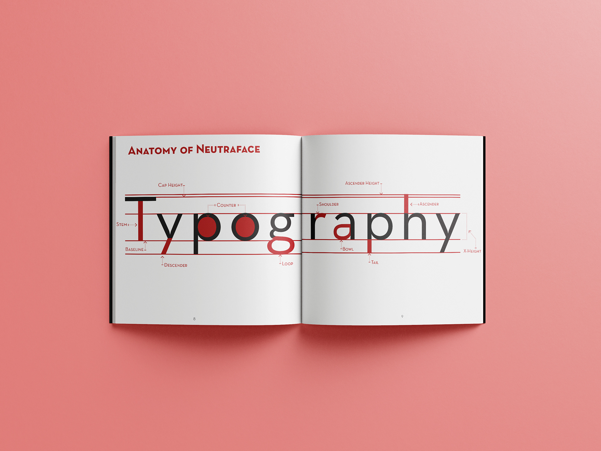 Anatomy of Neutraface Graphic for Typography Book - Created in Adobe Illustrator and InDesign