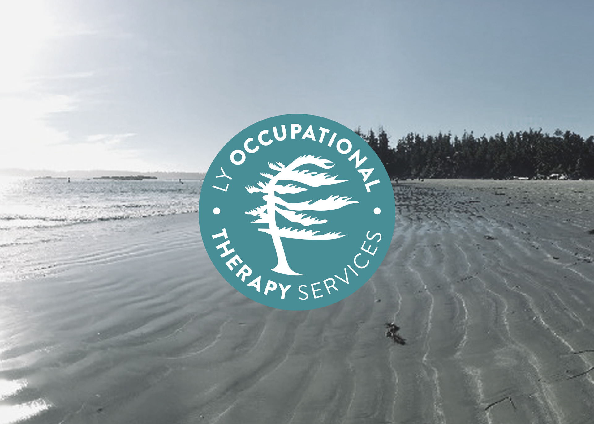 LYOT Services - Occupational Therapy Services