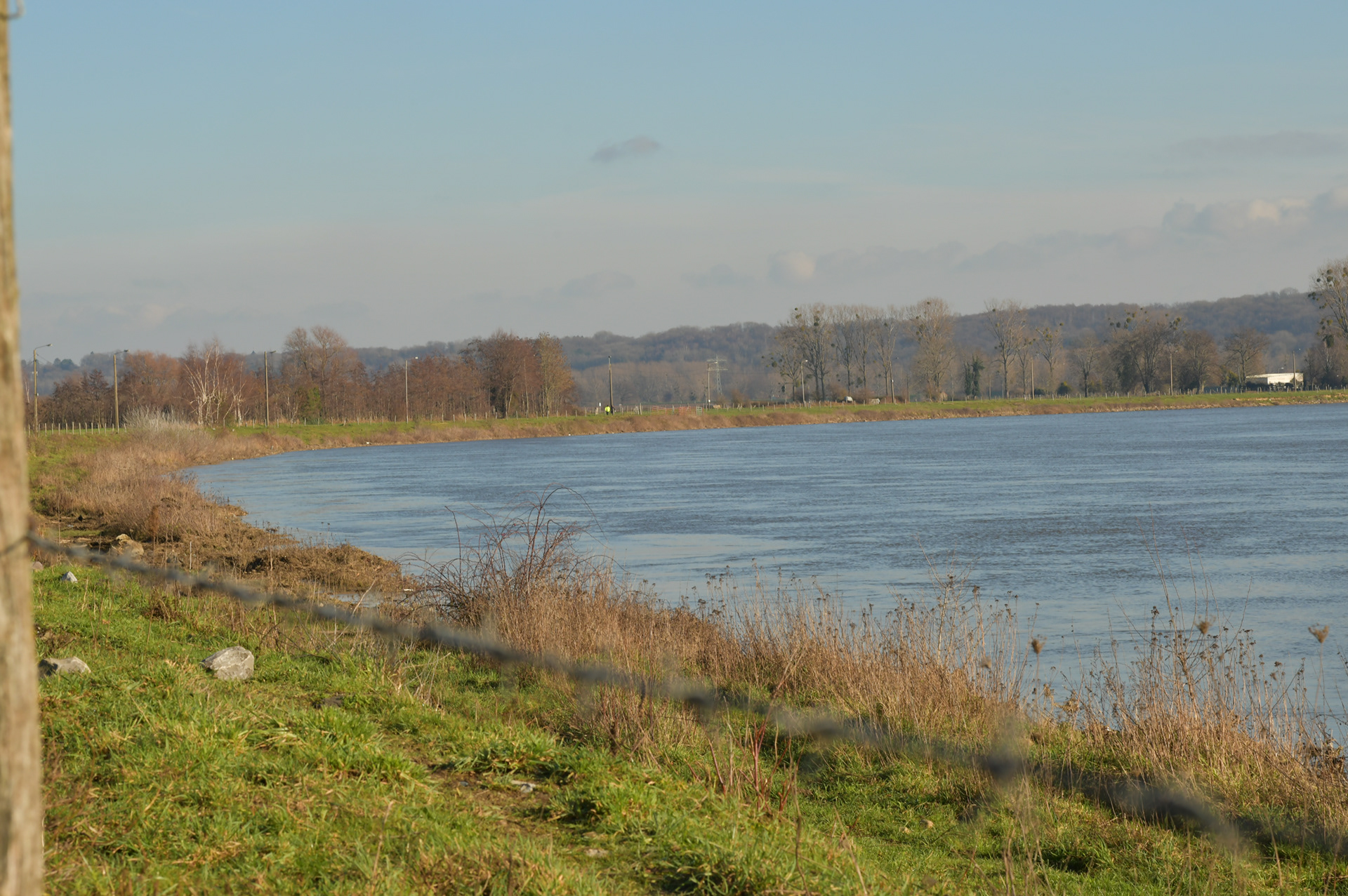 De Maas na de hoge waterstand in Januari 2023.