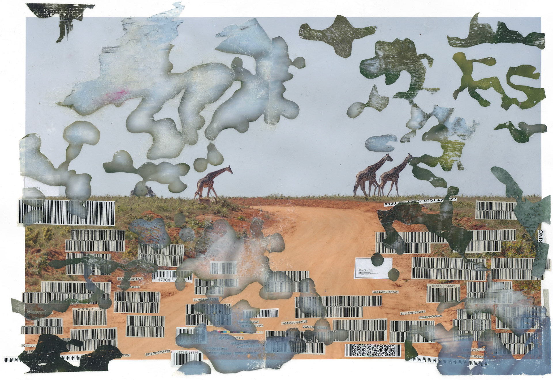 We visited Uganda while we lived in Kuwait, a lush and verdant environment.  We moved to Virginia after leaving Kuwait, another lush and verdant environment.  These two brought together were my countermeasure to the unblooming desert of Kuwait.  The harshness of the country is echoed in the packaging settling onto the landscape.