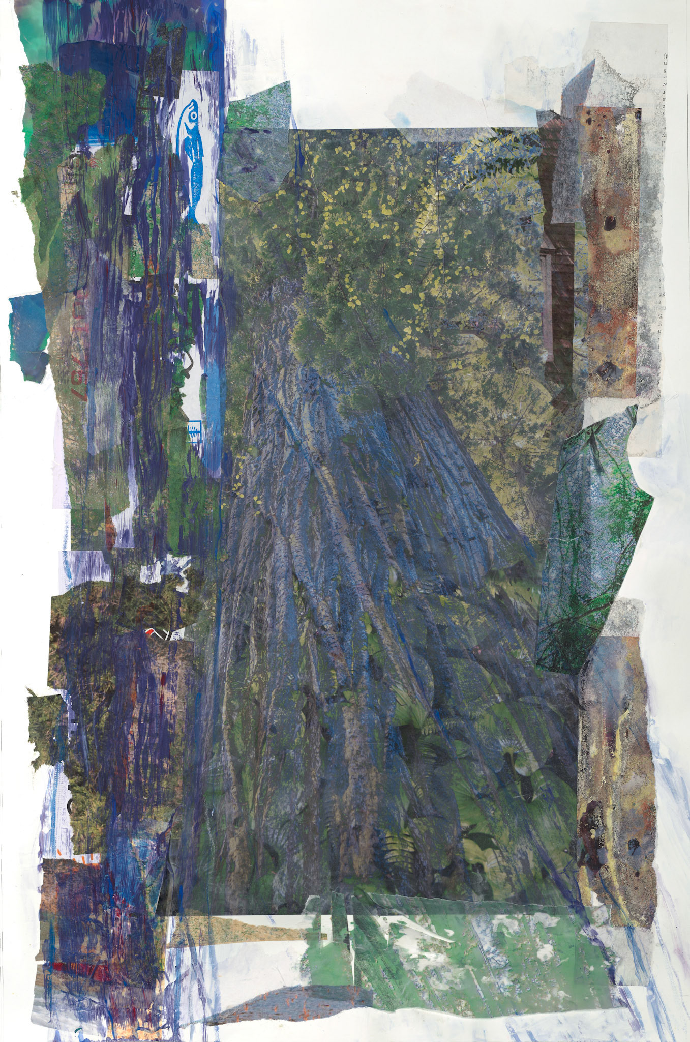 The grand beauty of the world's tallest trees from my photographs layered with chopstick covers, other ephemera and slashes of paint mimicking the verticalness of the forest.