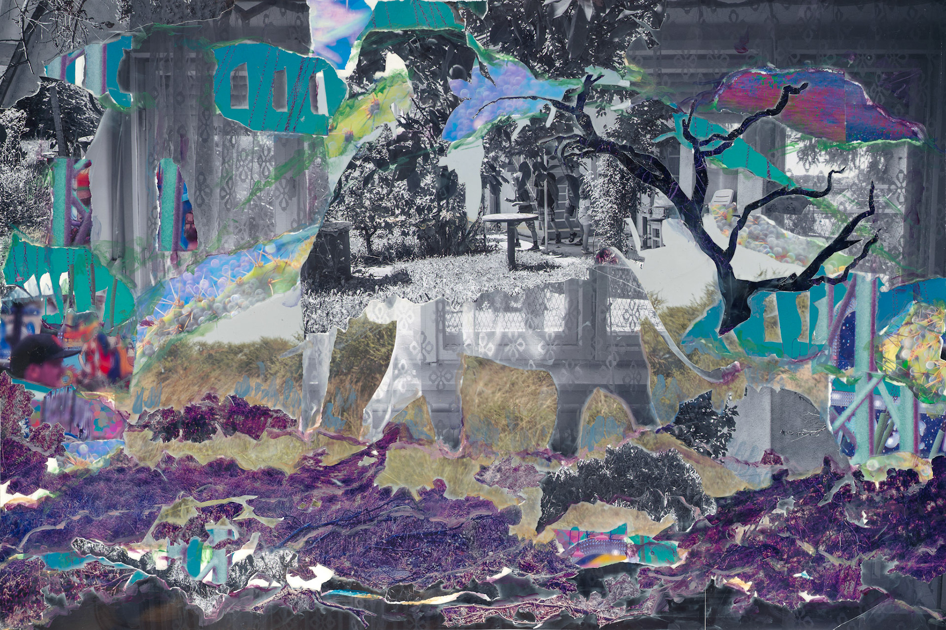 Brogdon, K_240730#4, 7/30/24, 2:38 PM,  8C, 9000x12000 (0+0), 150%, Custom,  1/40 s, R52.1, G30.3, B53.0