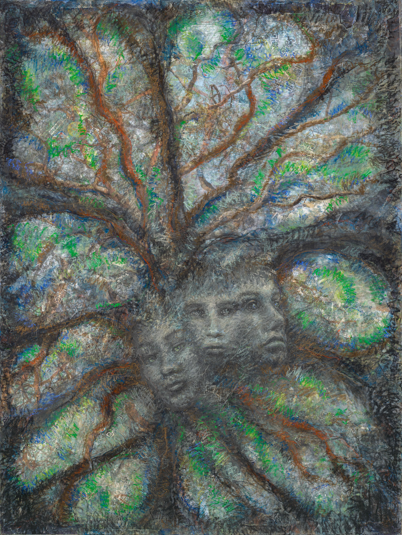Memory of trees.  For all those who love trees, remembering present and ancient forests with a hope for the future in a combination of acacia trees and packaging capturing the wish for pristine forests.