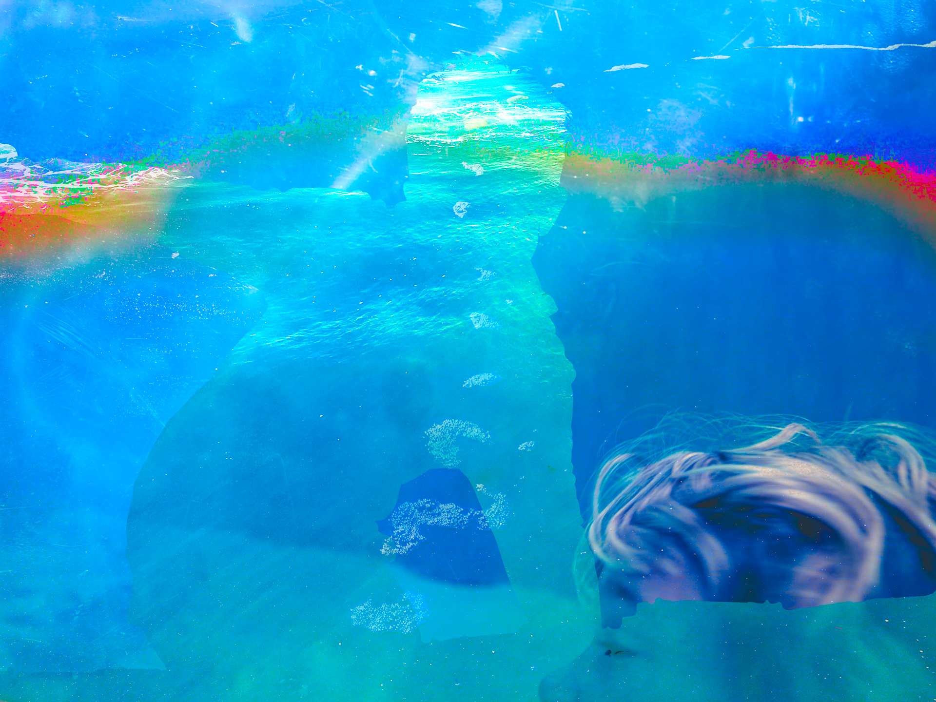 A child-shaped hole in the reality that wasn't really there, filled with various silliness with aquariums visited, rainbow colored around the edges.