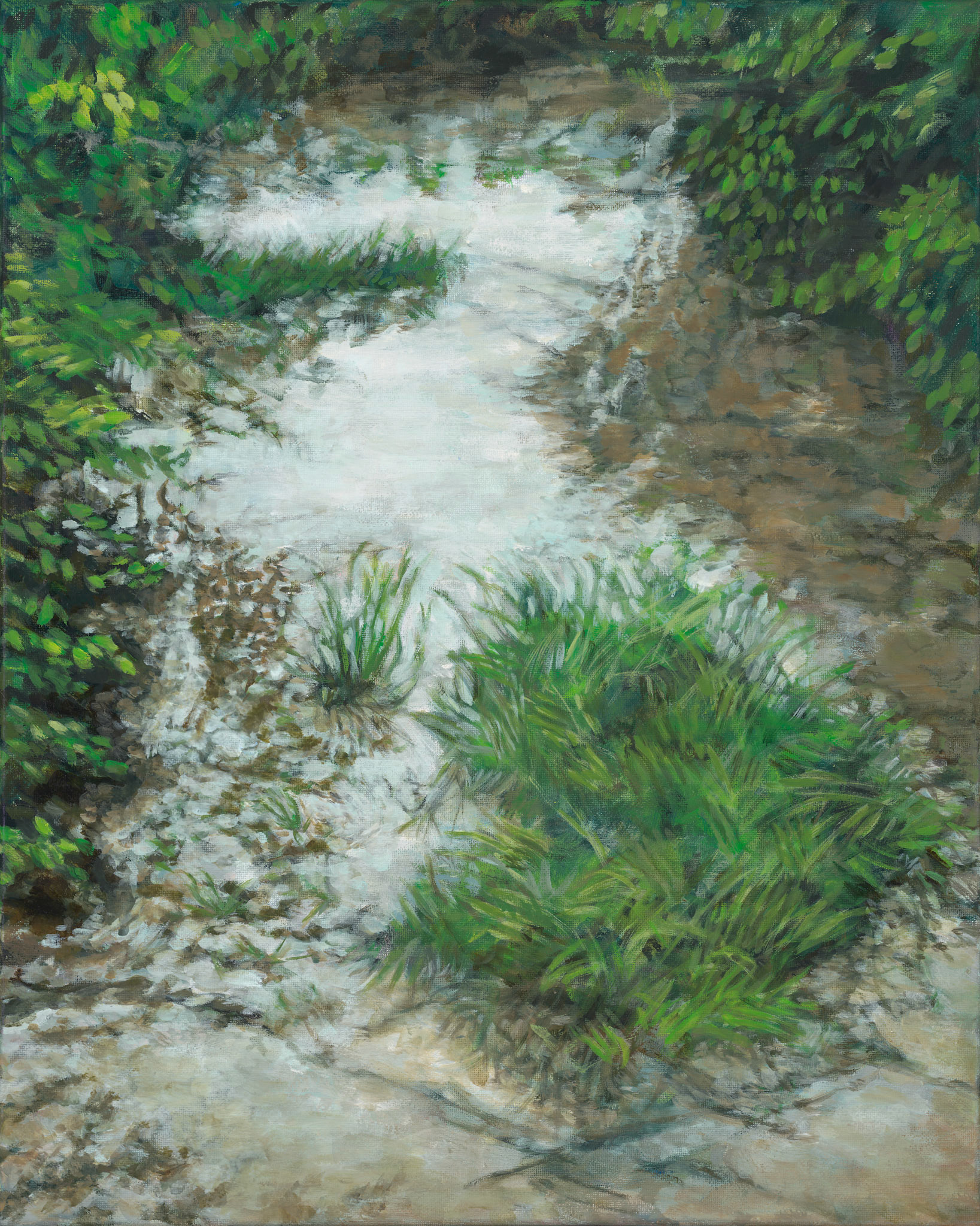 The light through grasses and small trees makes dappled patterns over a small waterway, part of the wetlands surrounding Neabsco Creek.