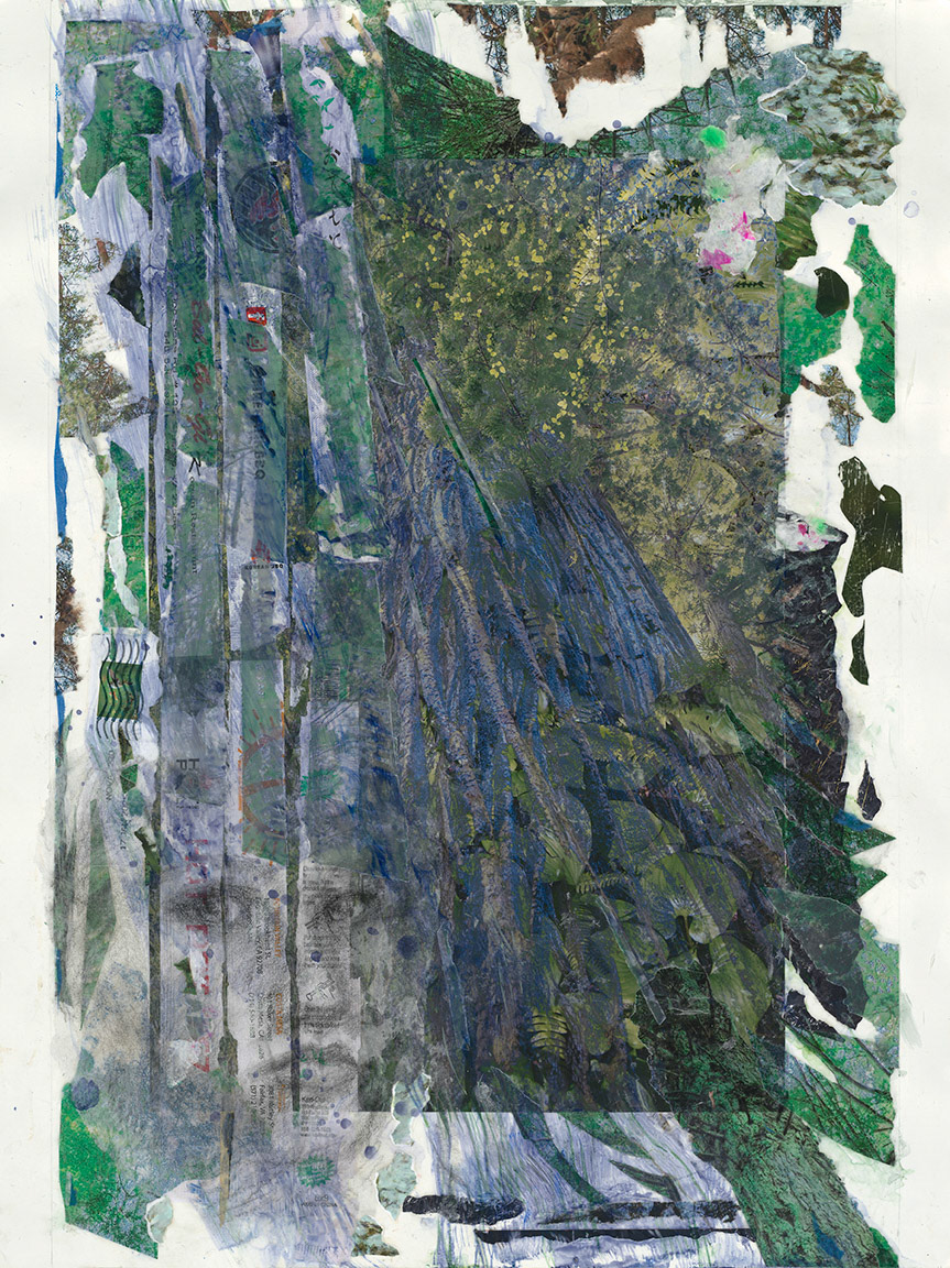 The grand beauty of the world's tallest trees from my photographs layered with chopstick covers, other ephemera, a face of dismay and slashes of paint mimicking the verticalness of the forest.