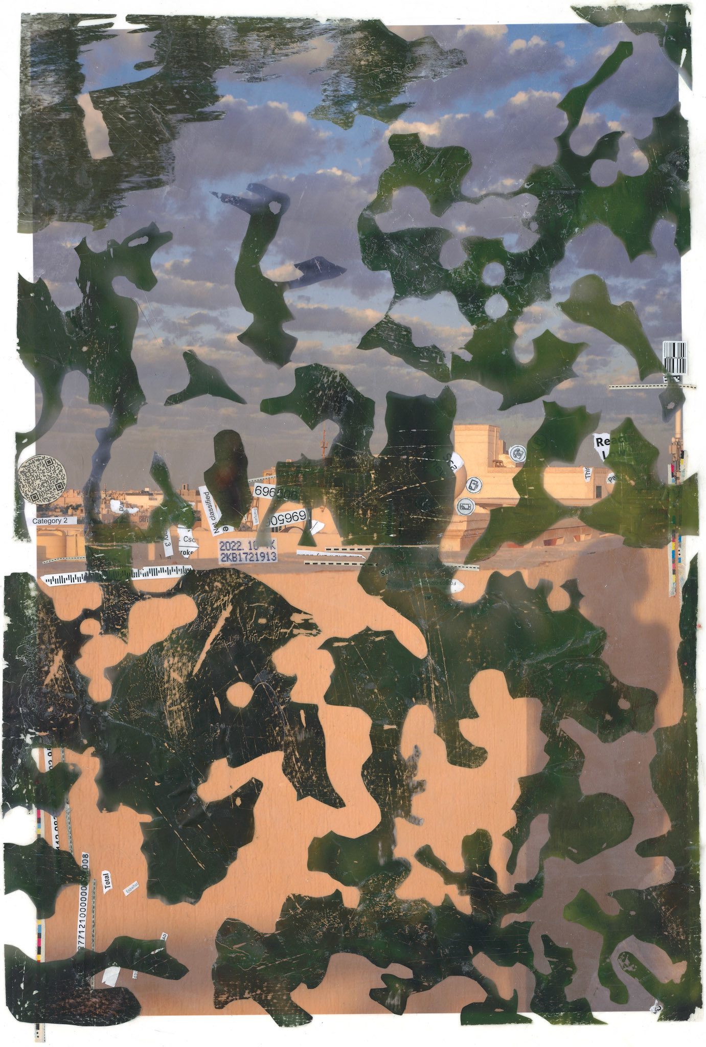 The spaces of Virginia trees over the Kuwait sunrise are the green countermeasure to the dryness and heat of the city and contrast the damaged environment of Kuwait with the green beauty of healthy forests.