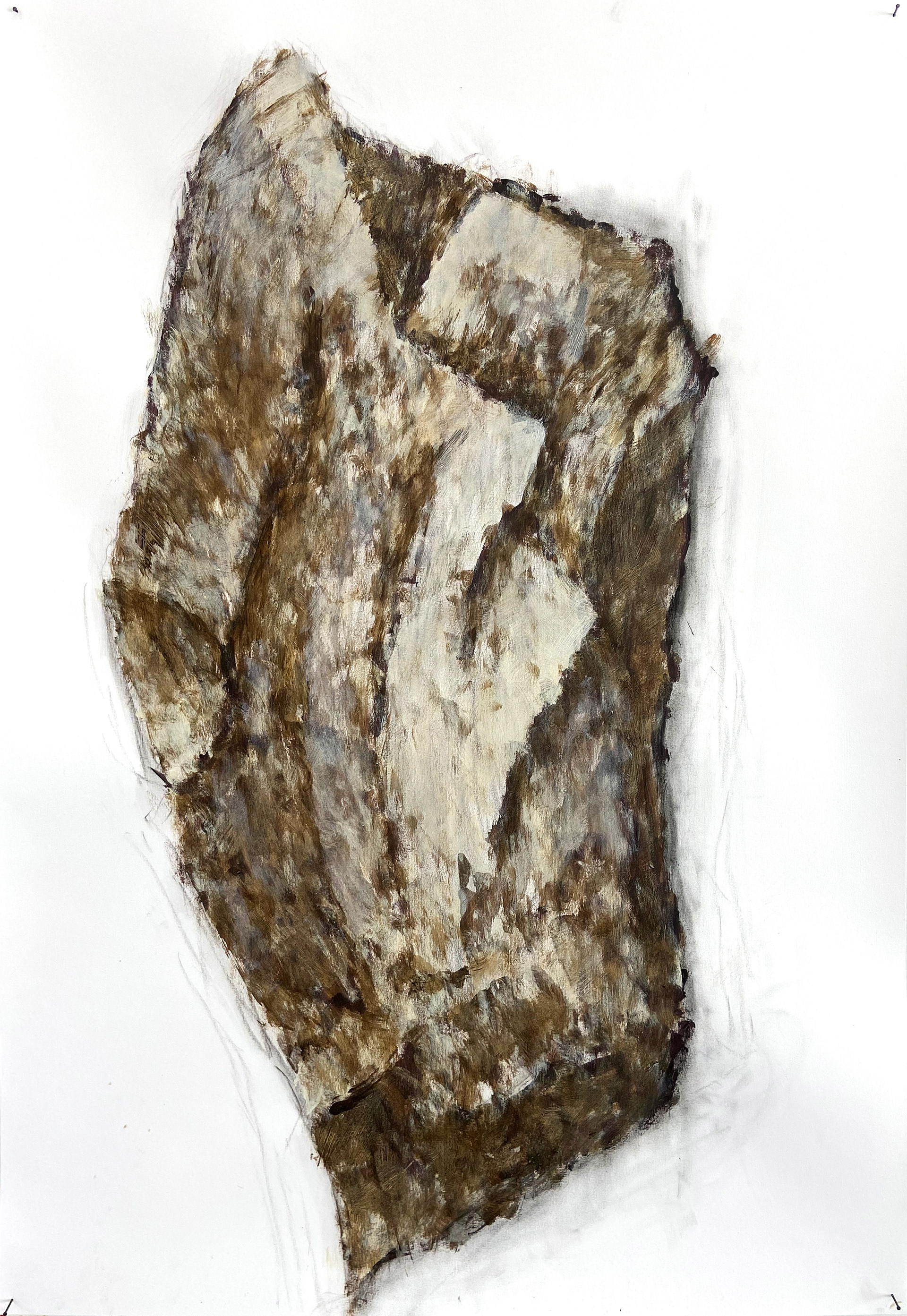 relato II, 2022  | acrílica e têmpera sobre papel  100 x 60 cm