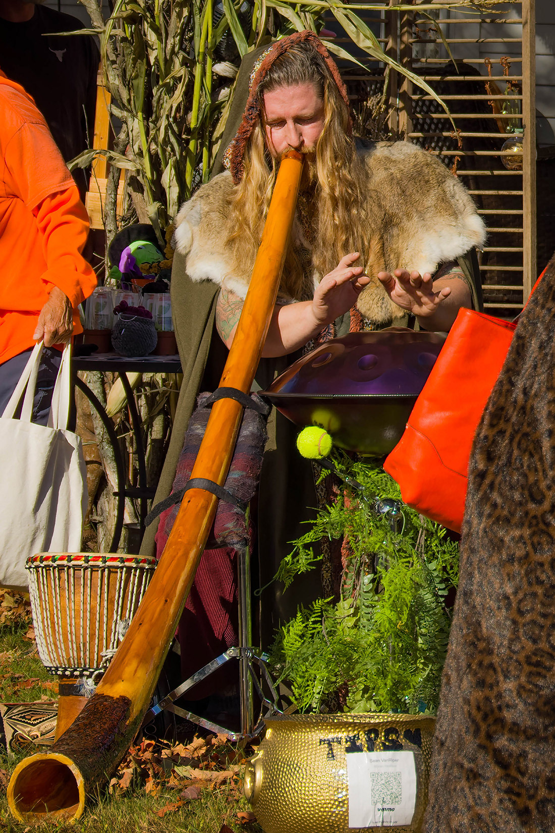 Druid musician