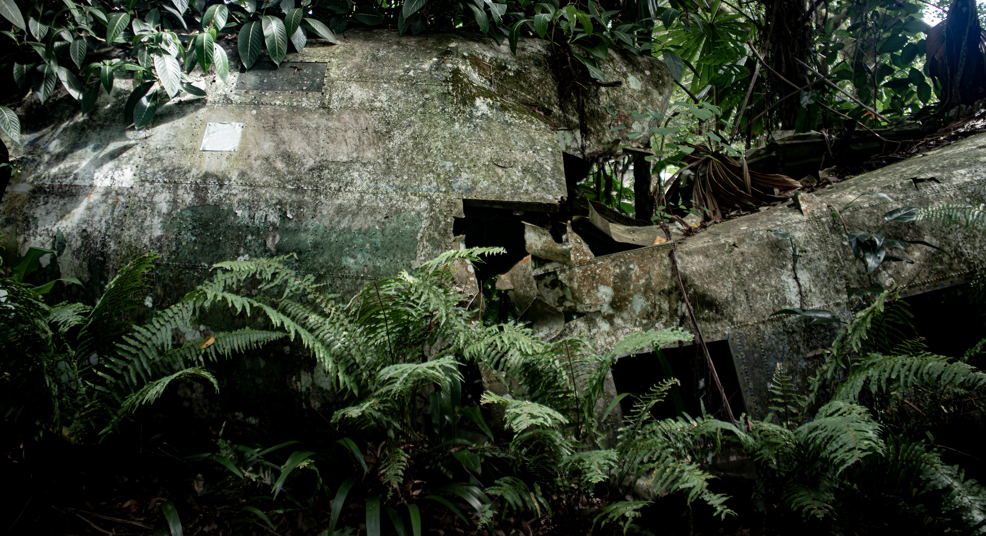 GERONIMO! WW2 C-47 veteran, and star of the movie "Sky Pirates" - now rests in the Kuranda jungle tangle