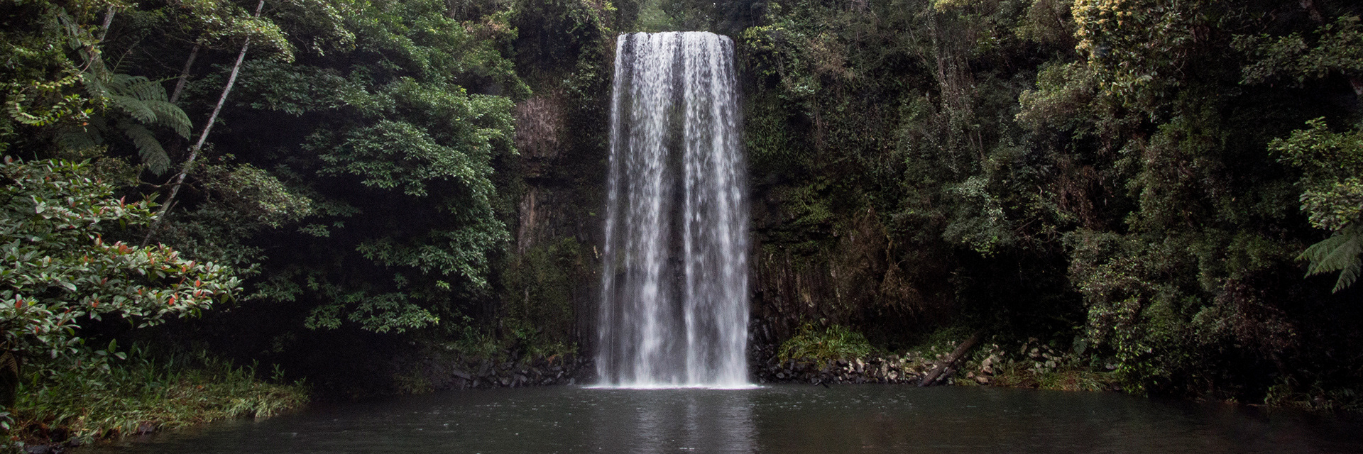 My happy place - Millaa Millaa Falls. Widely considered to be the most picturesque waterfall in Australia.