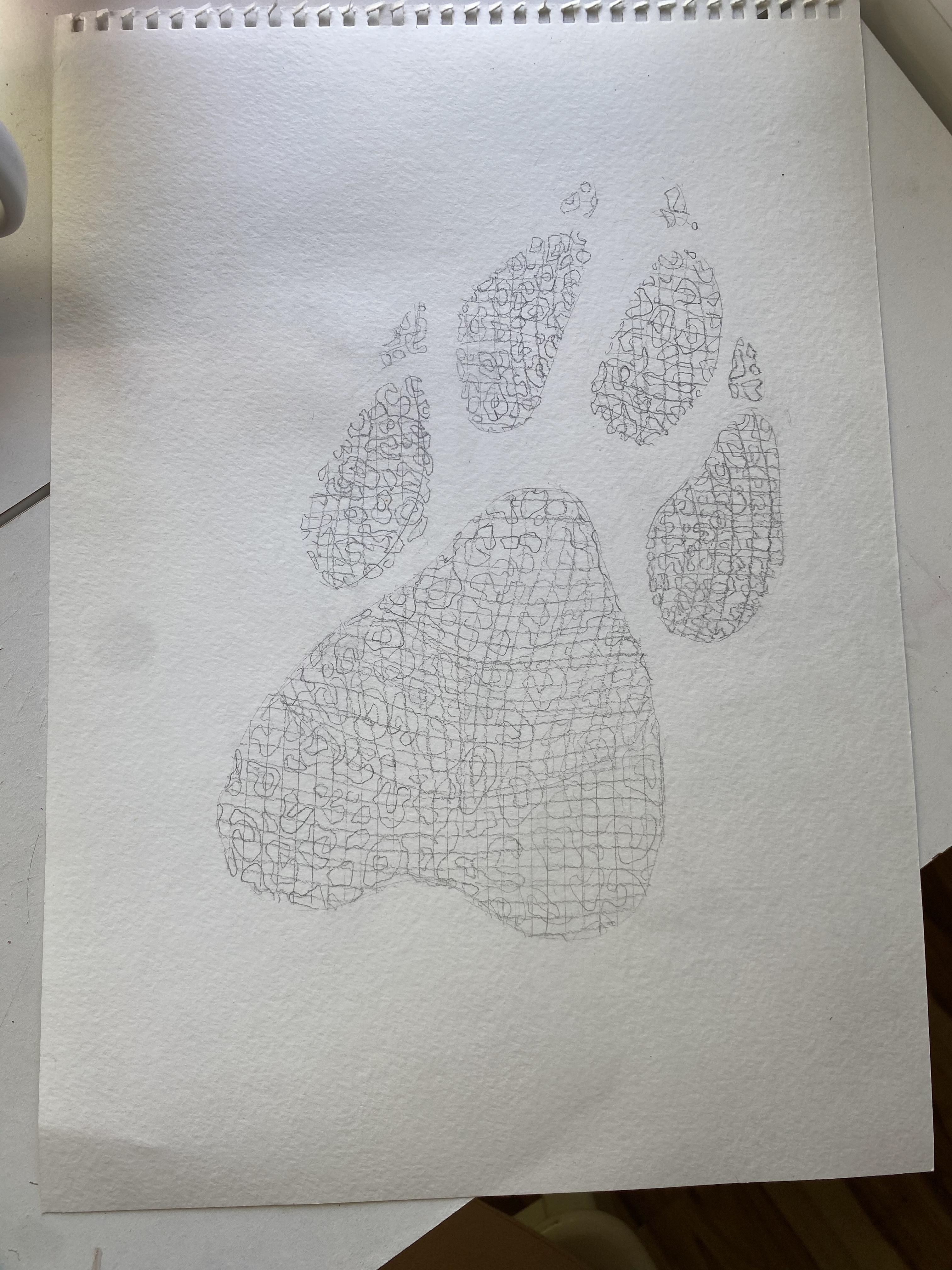 sketch outline/'grid mapping'