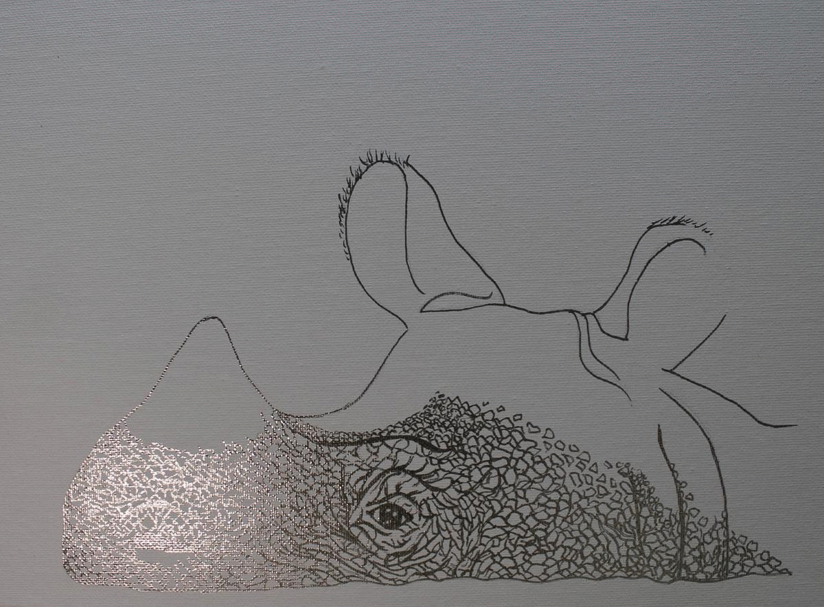 Javan Rhino gif, flash 'moving' across the canvas