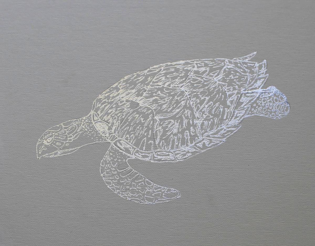 Hawksbill Turtle gif, flash vs. no flash picture of work