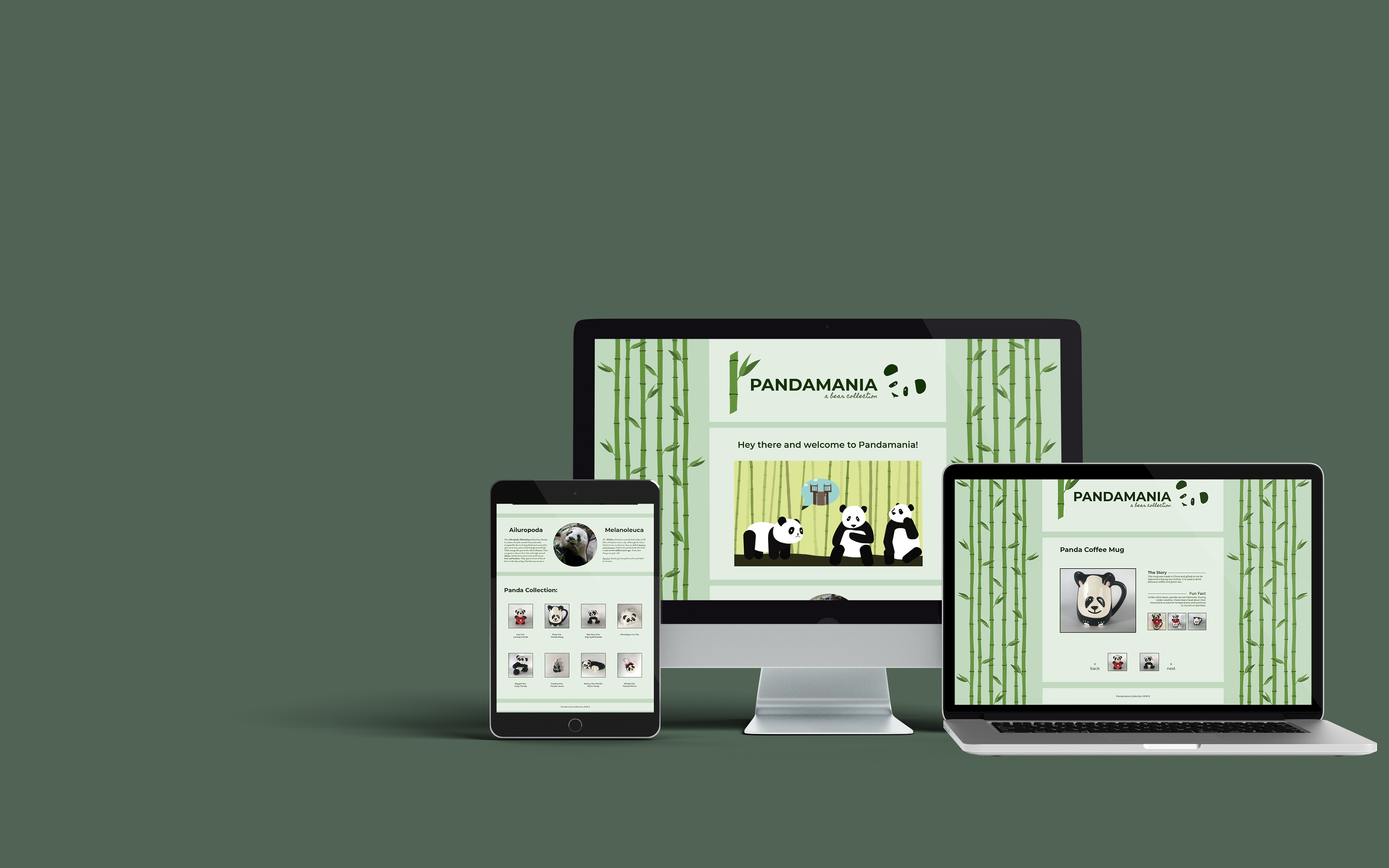 Website viewed on different devices
