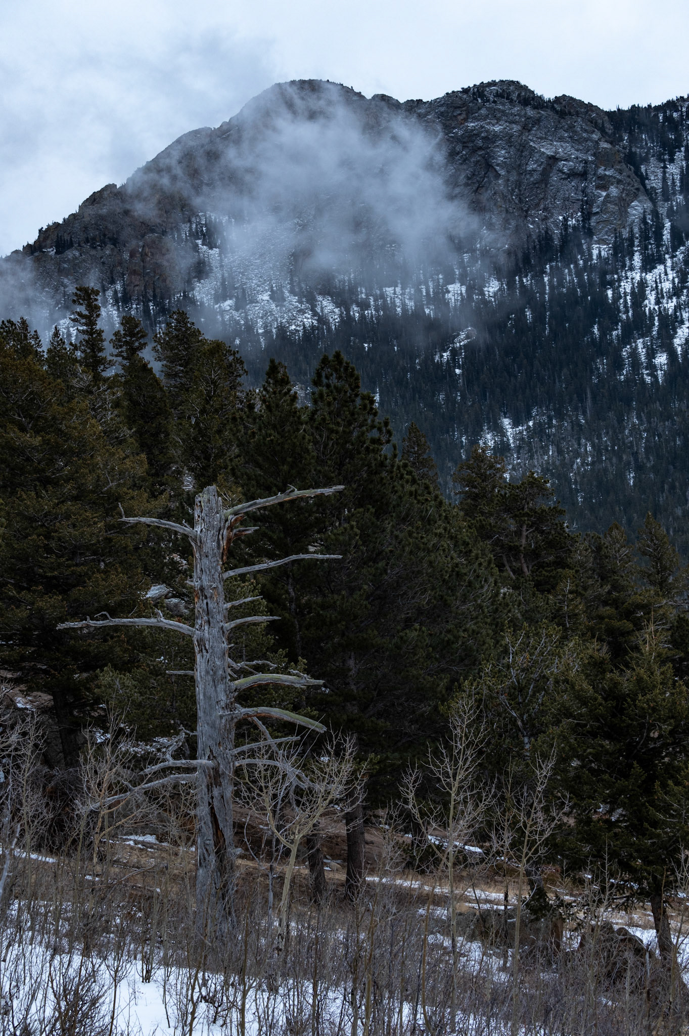 The Crags