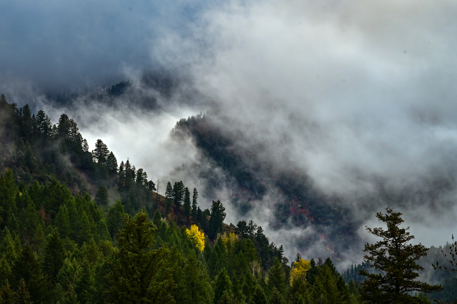 Misty mountain tops