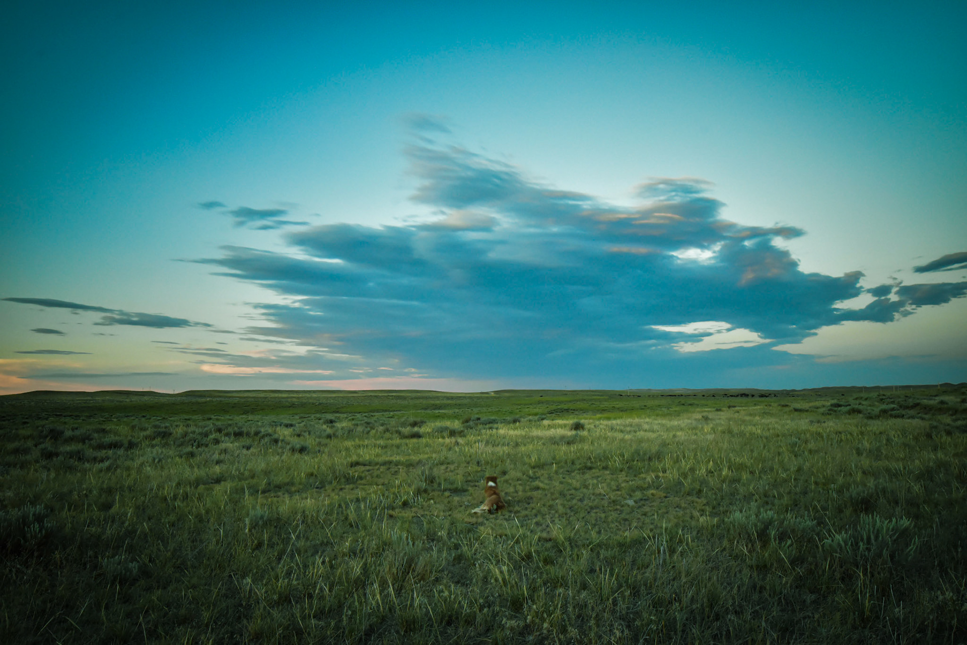 wyoming summer