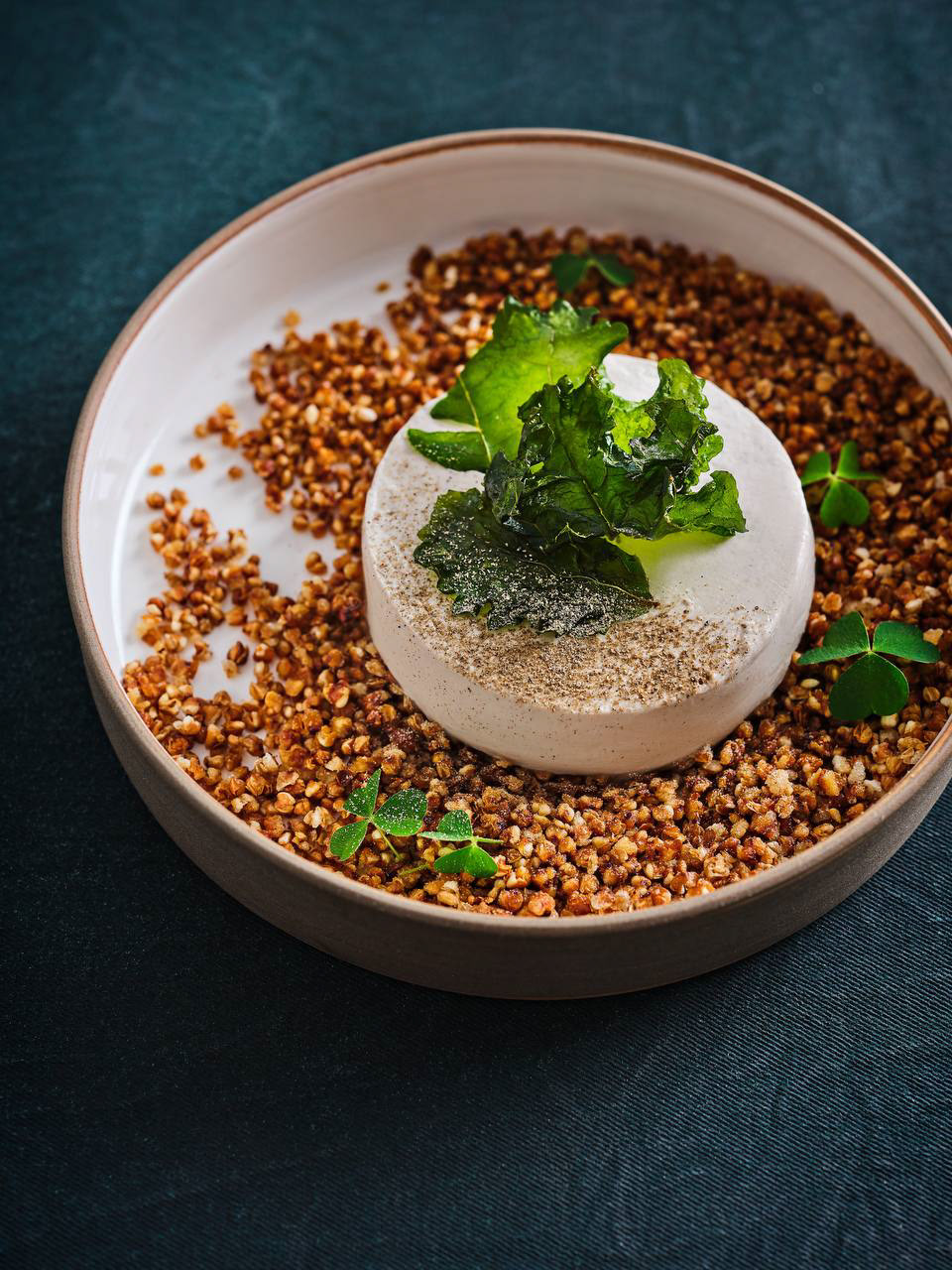 Savory Sour Cream and Wild Mushroom Powder Cheesecake on Puffed Buckwheat
