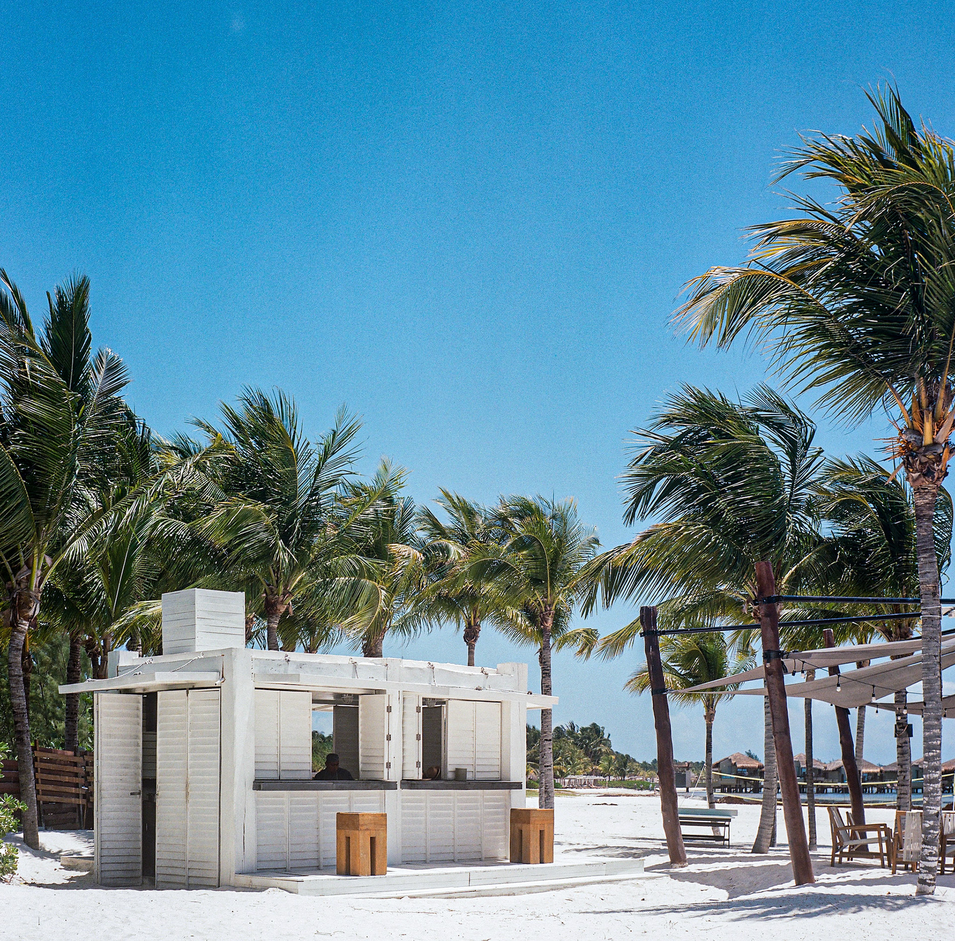 Etereo, Auberge Collection. Beachfront architecture framed by palm trees and bright coastal skies on analog film. Explore the full series at dyoon.space.