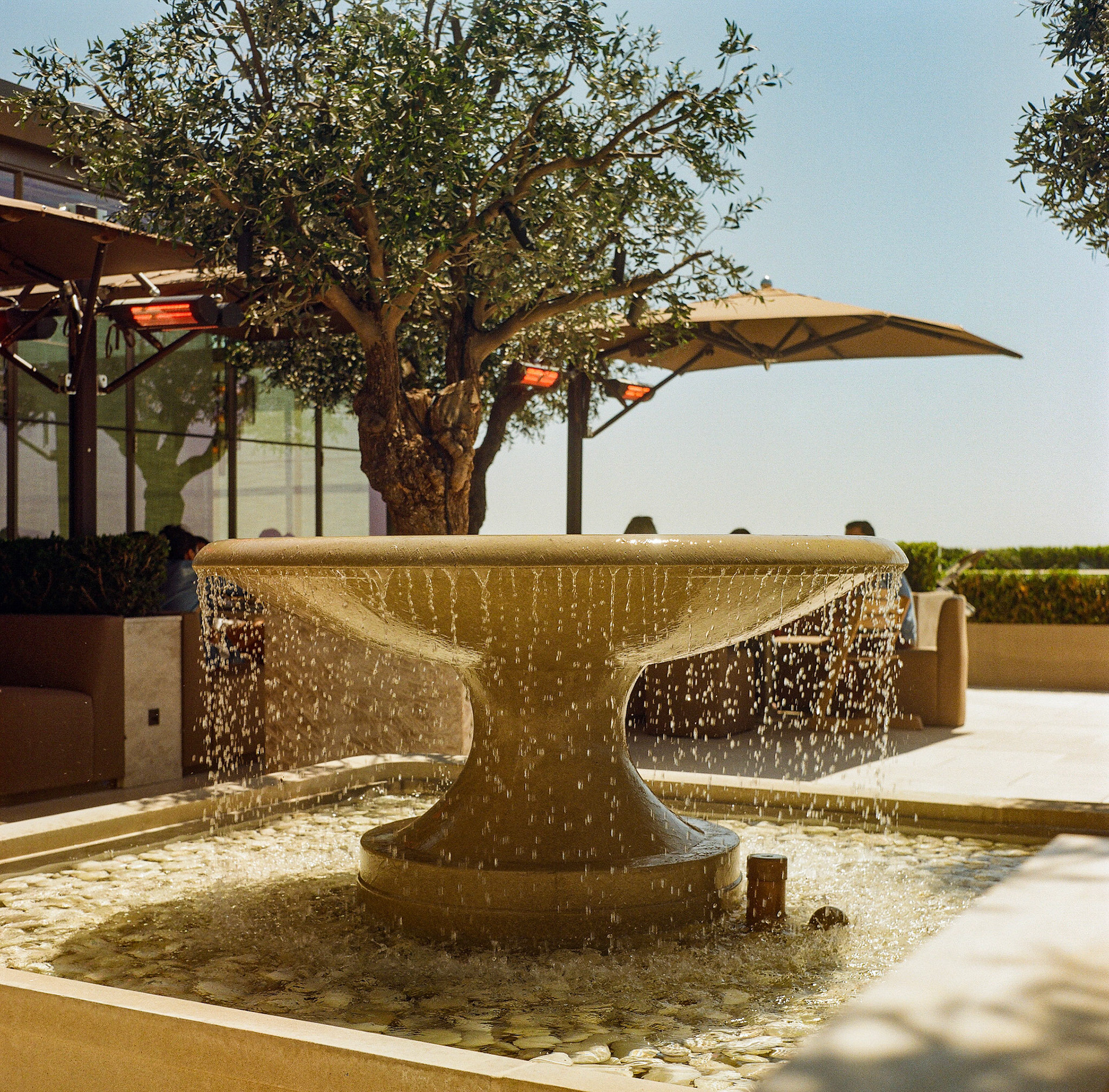 Stone fountain and landscaped courtyard at a restaurant photographed in warm afternoon light. Explore the full series at dyoon.space.