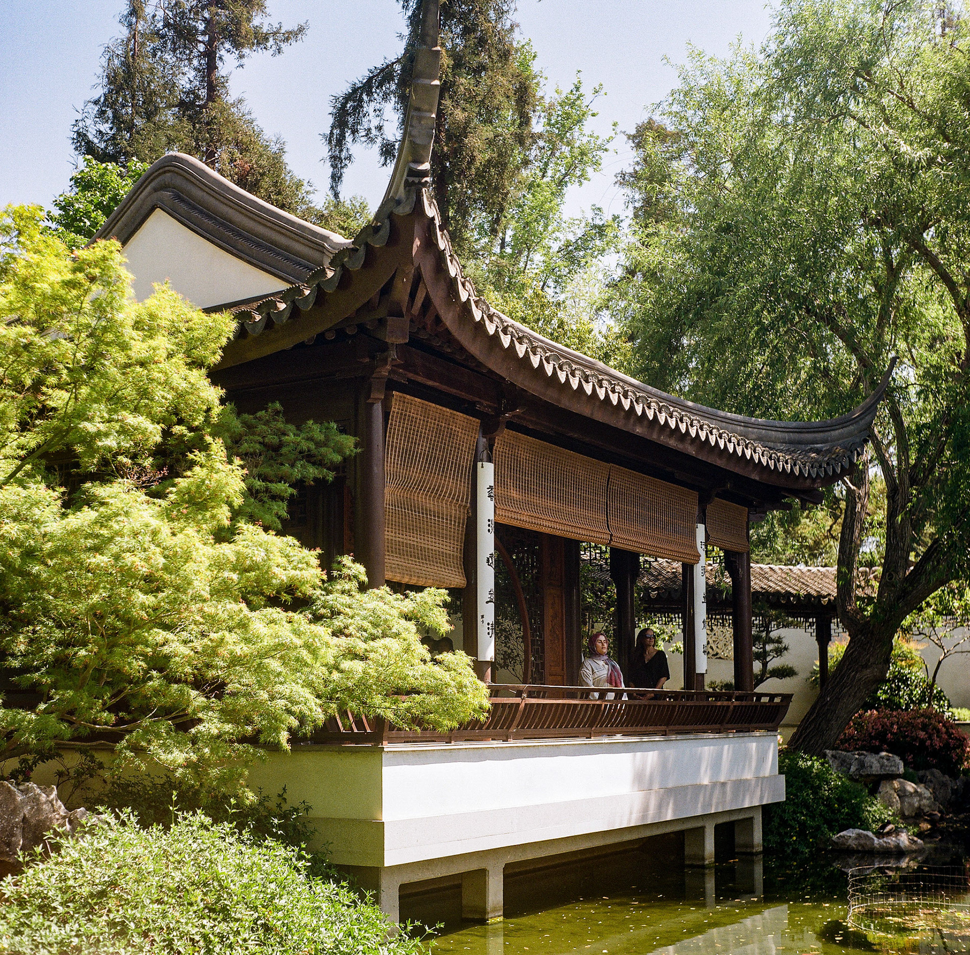 Japanese pavilion surrounded by lush garden foliage and serene natural light. Explore the full series at dyoon.space.