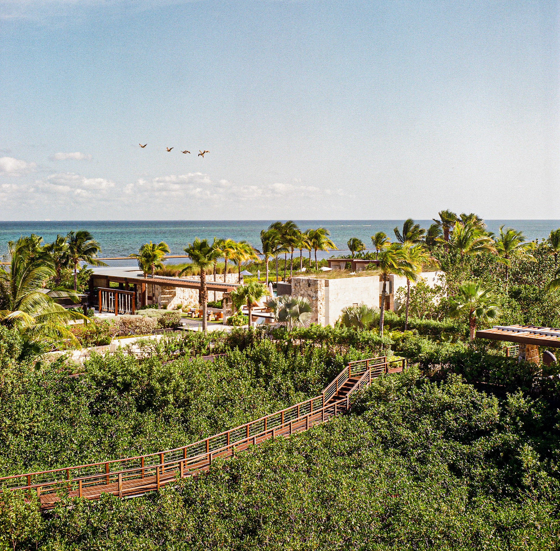 Etereo, Auberge Collection. Coastal resort landscape with tropical greenery, elevated walkways over the mangroves, and ocean views captured on analog film. Explore the full series at dyoon.space.
