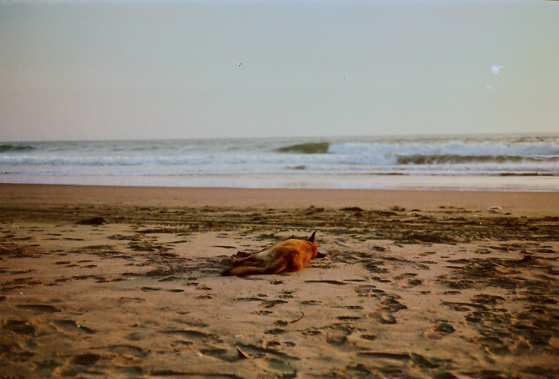 Boca del Cielo, México 2011