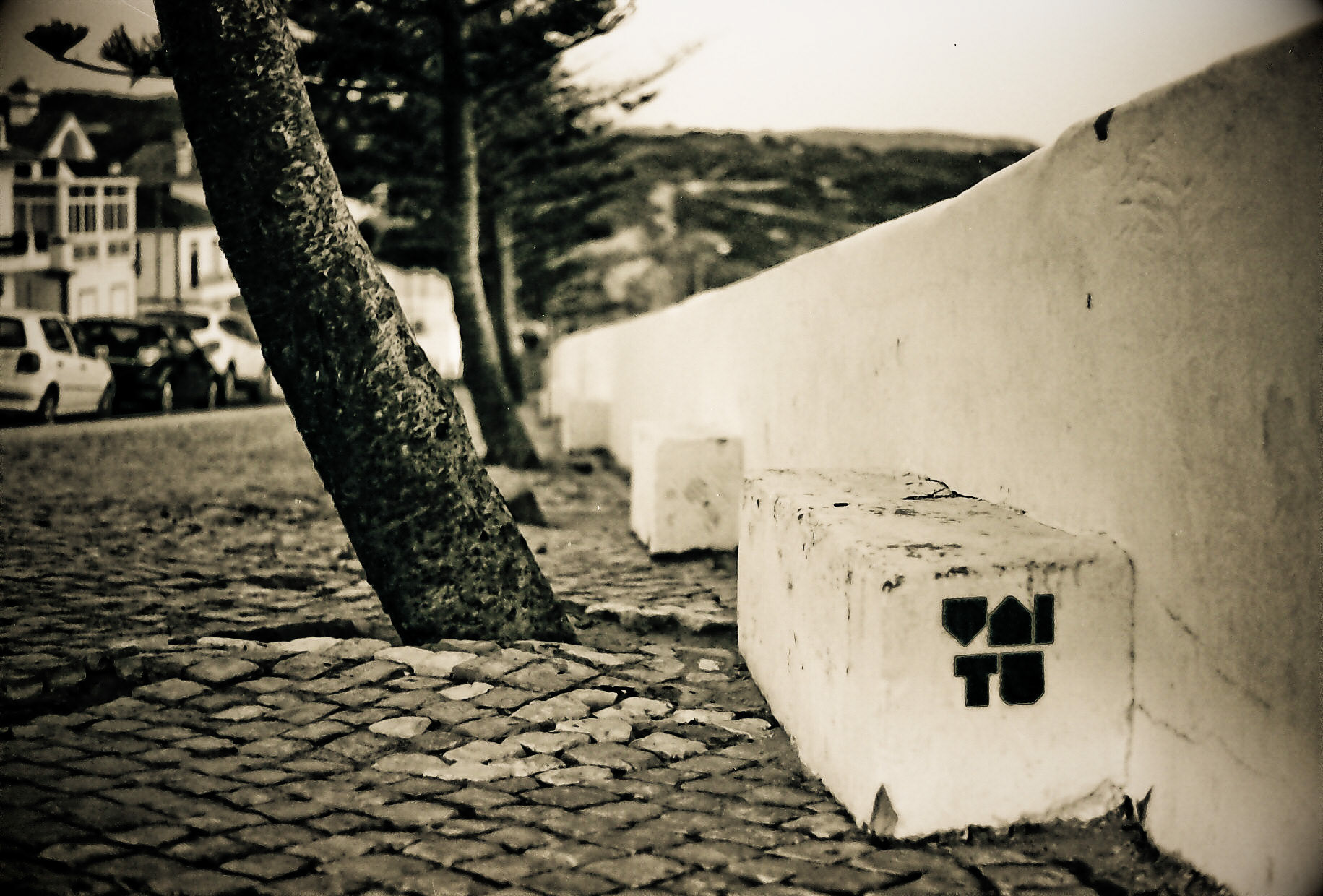 Zambujeira do Mar, 2011