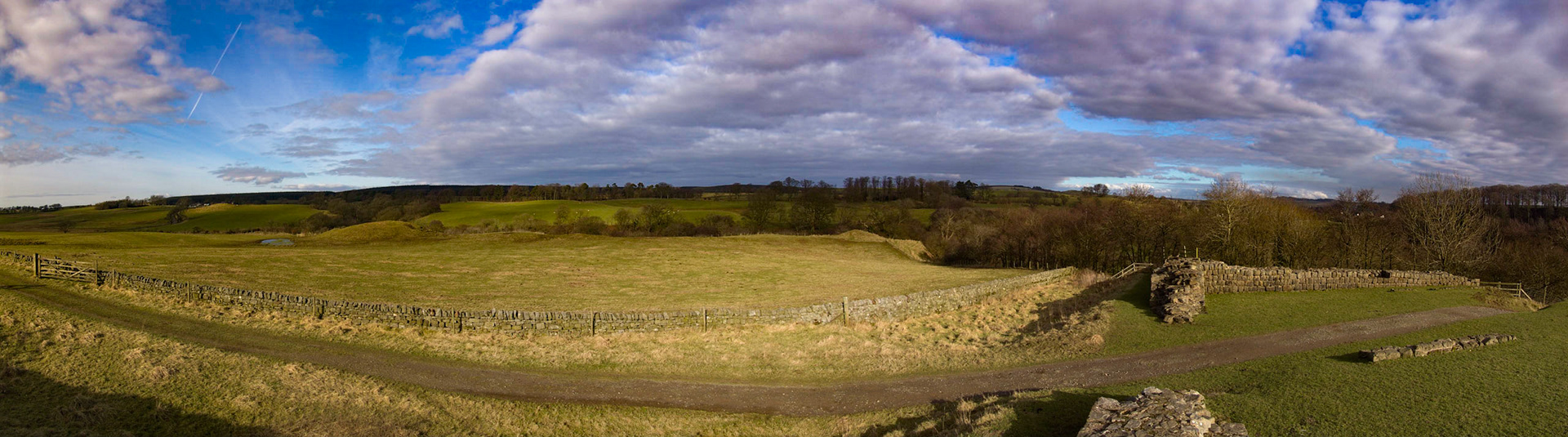 Panoramic view