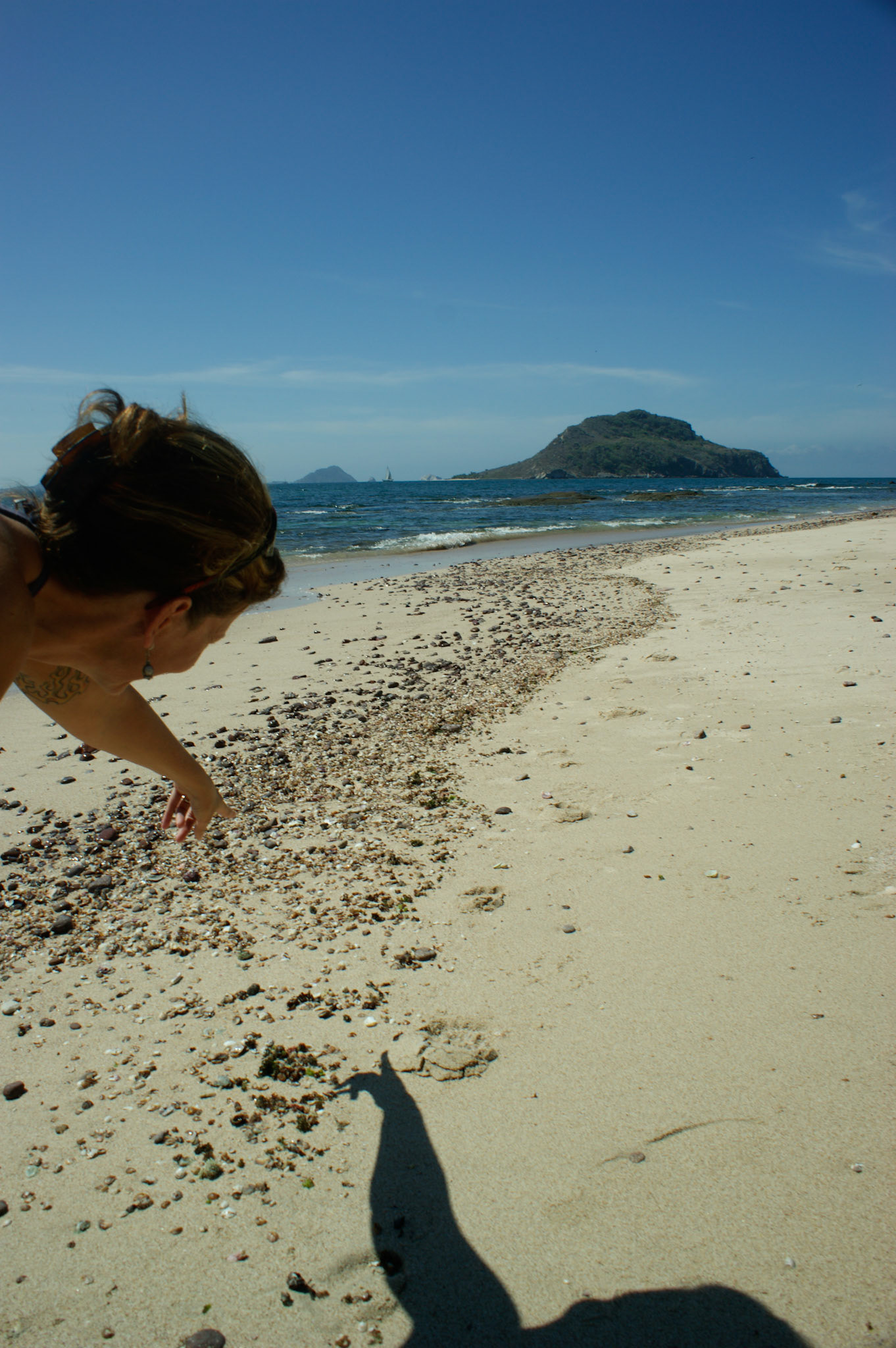 SONY DSC