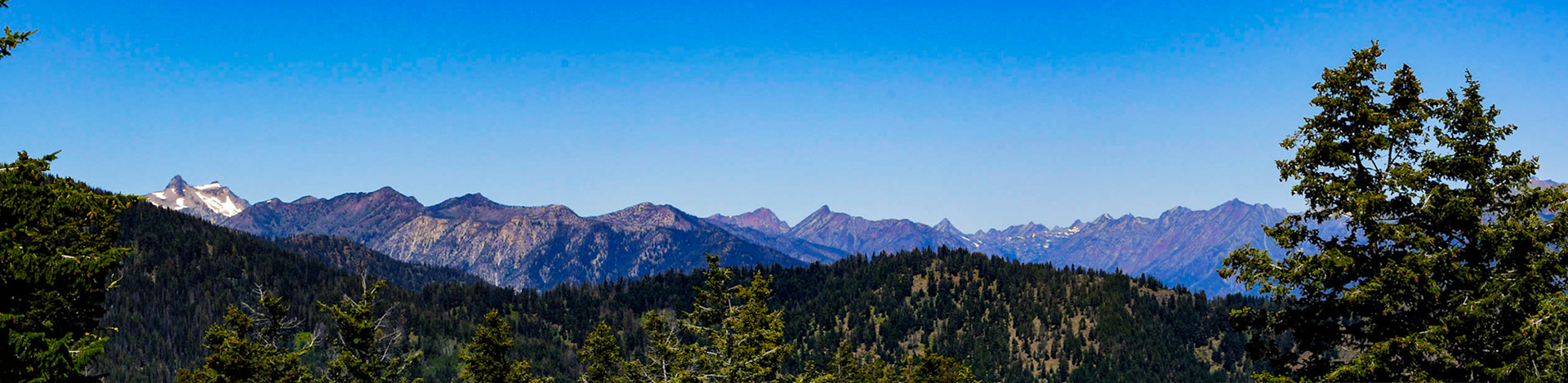 Panoramic view