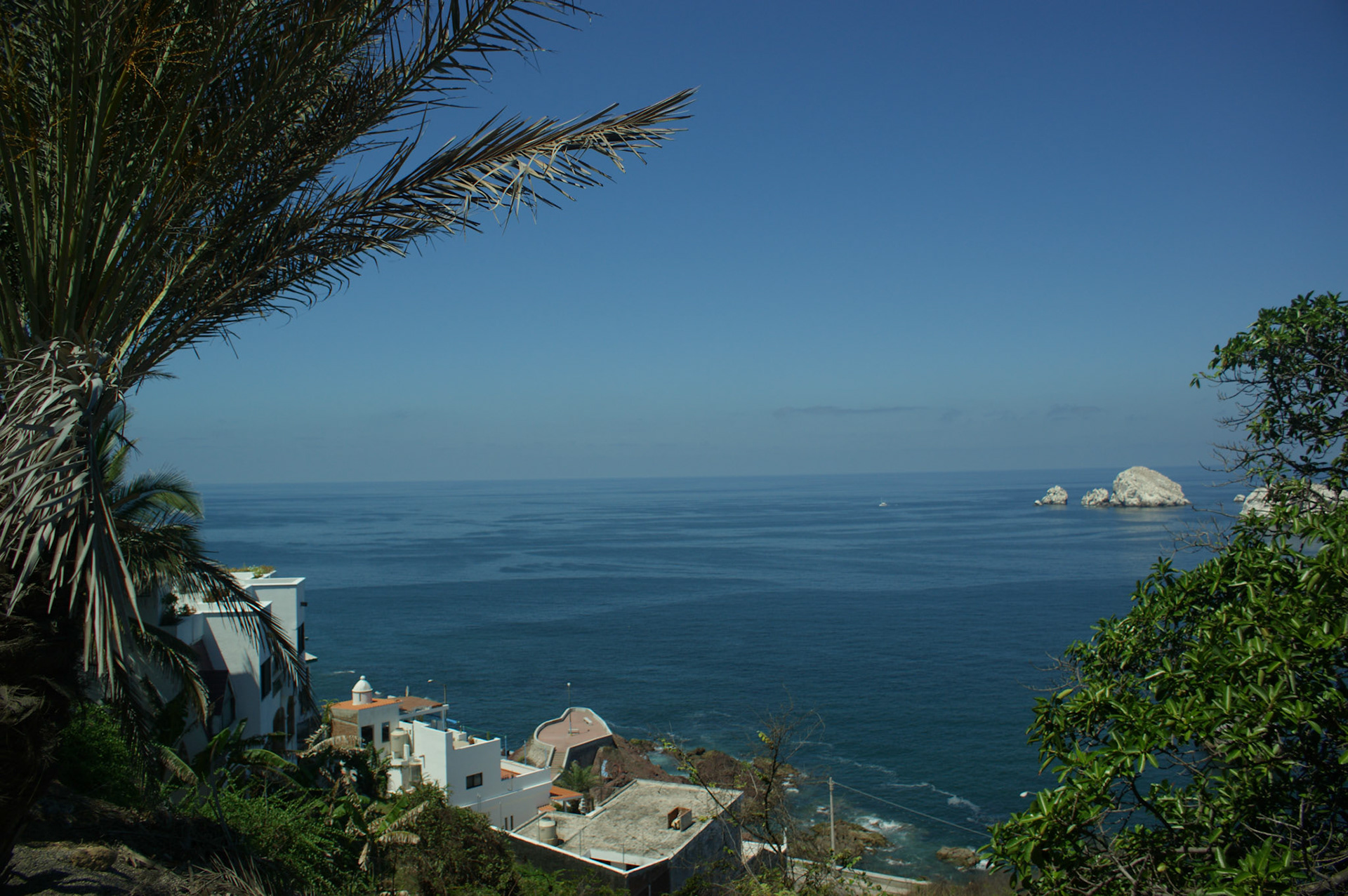 SONY DSC