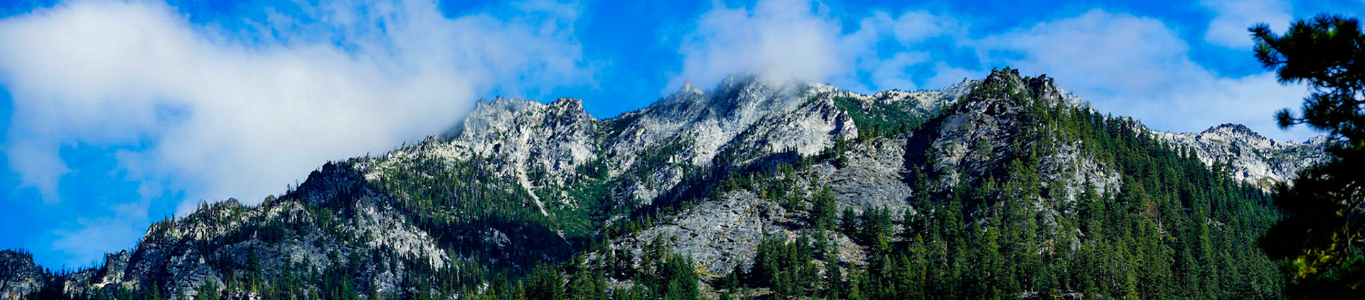 Panoramic view