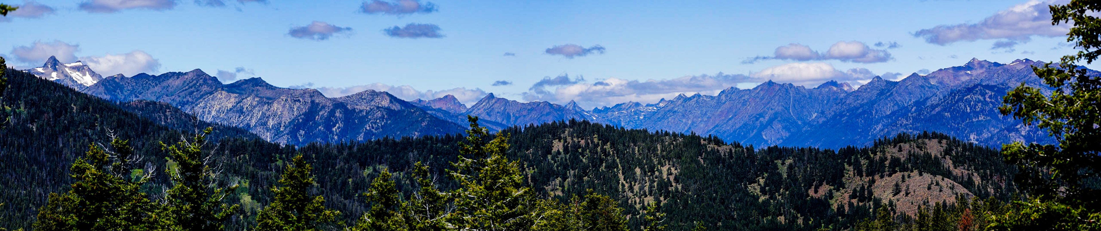 Panoramic view