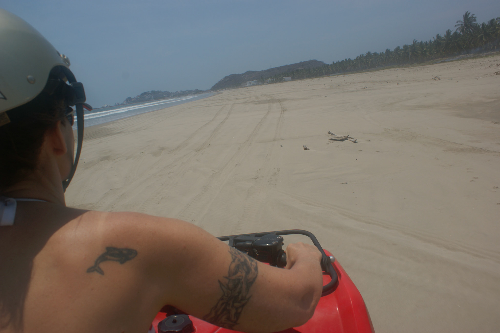 SONY DSC