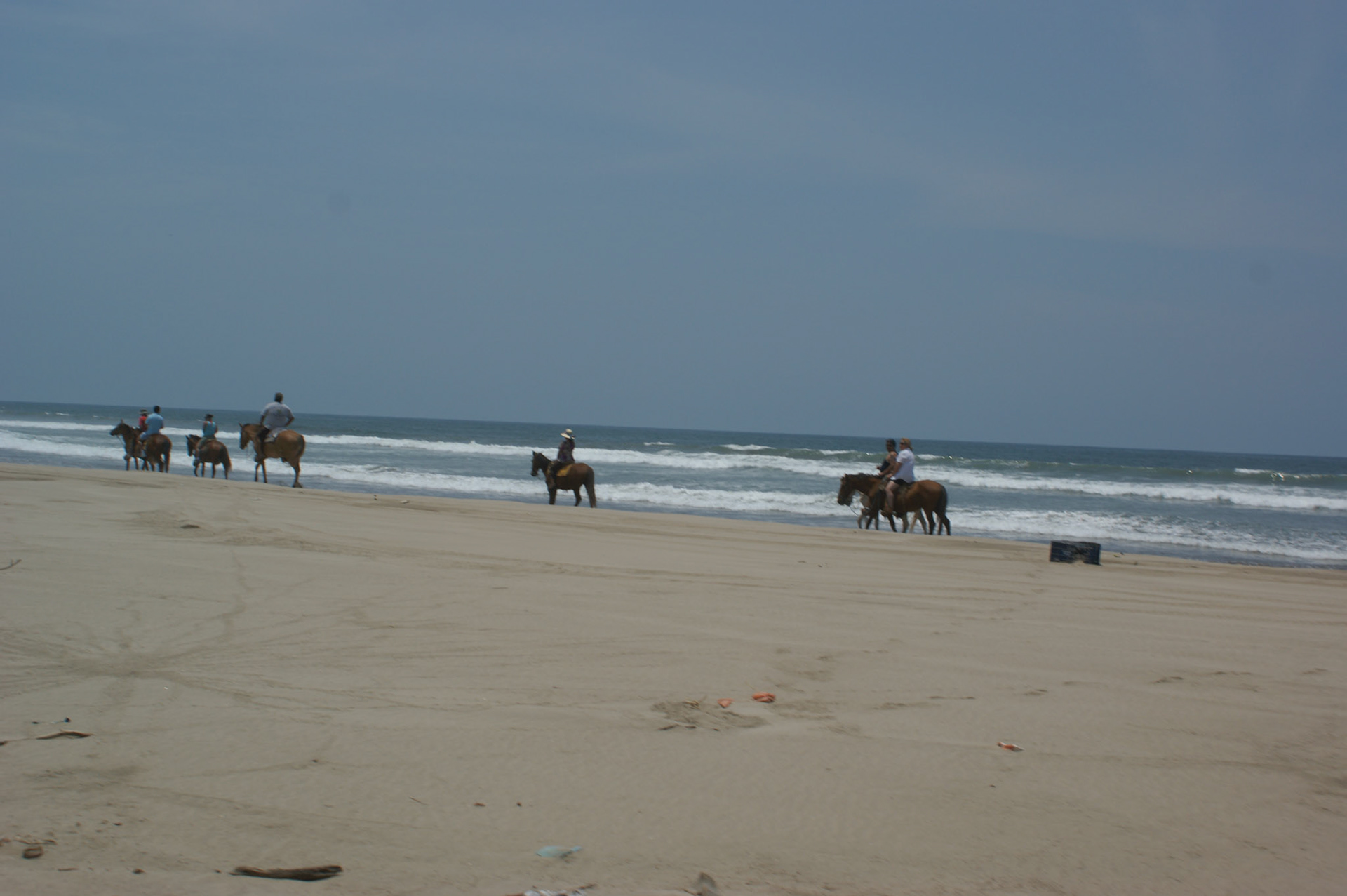 SONY DSC