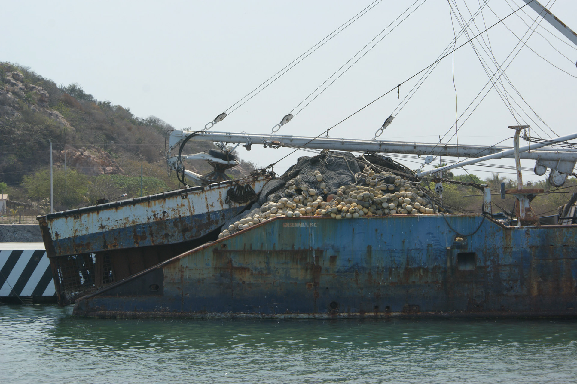 SONY DSC