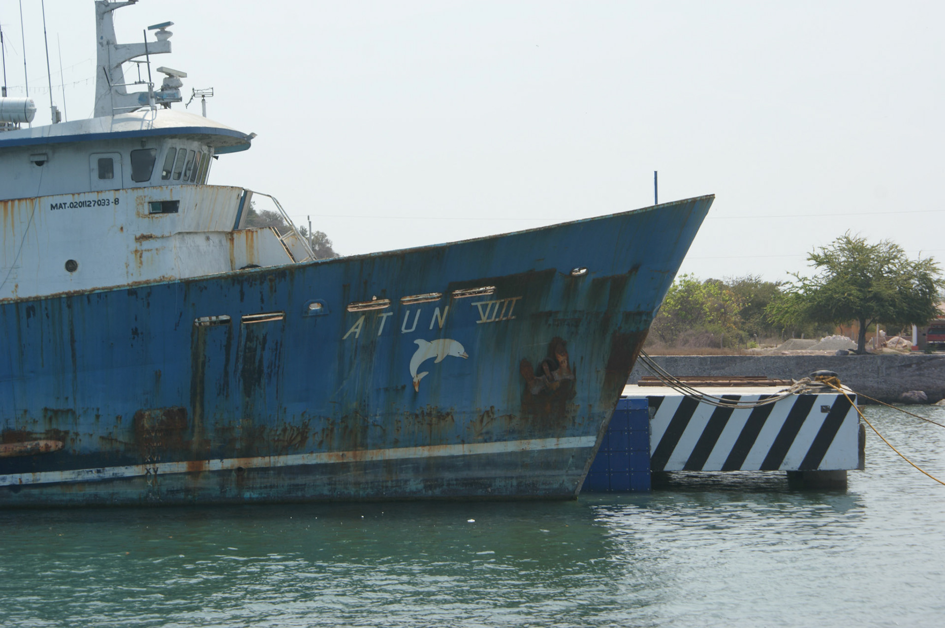 SONY DSC