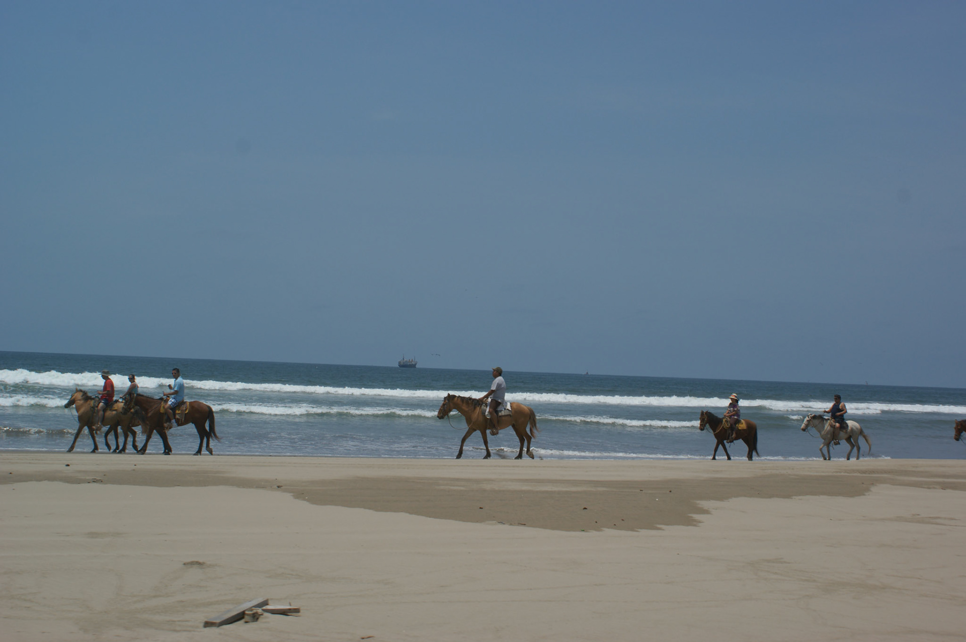SONY DSC