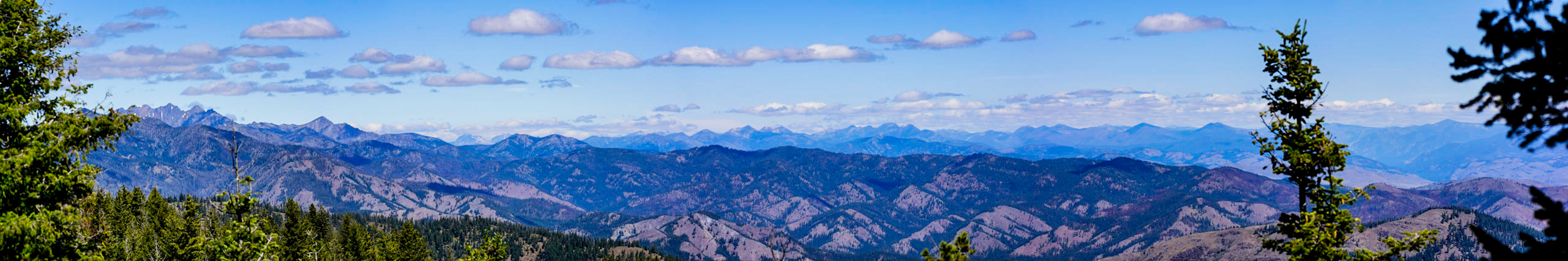 Panoramic view