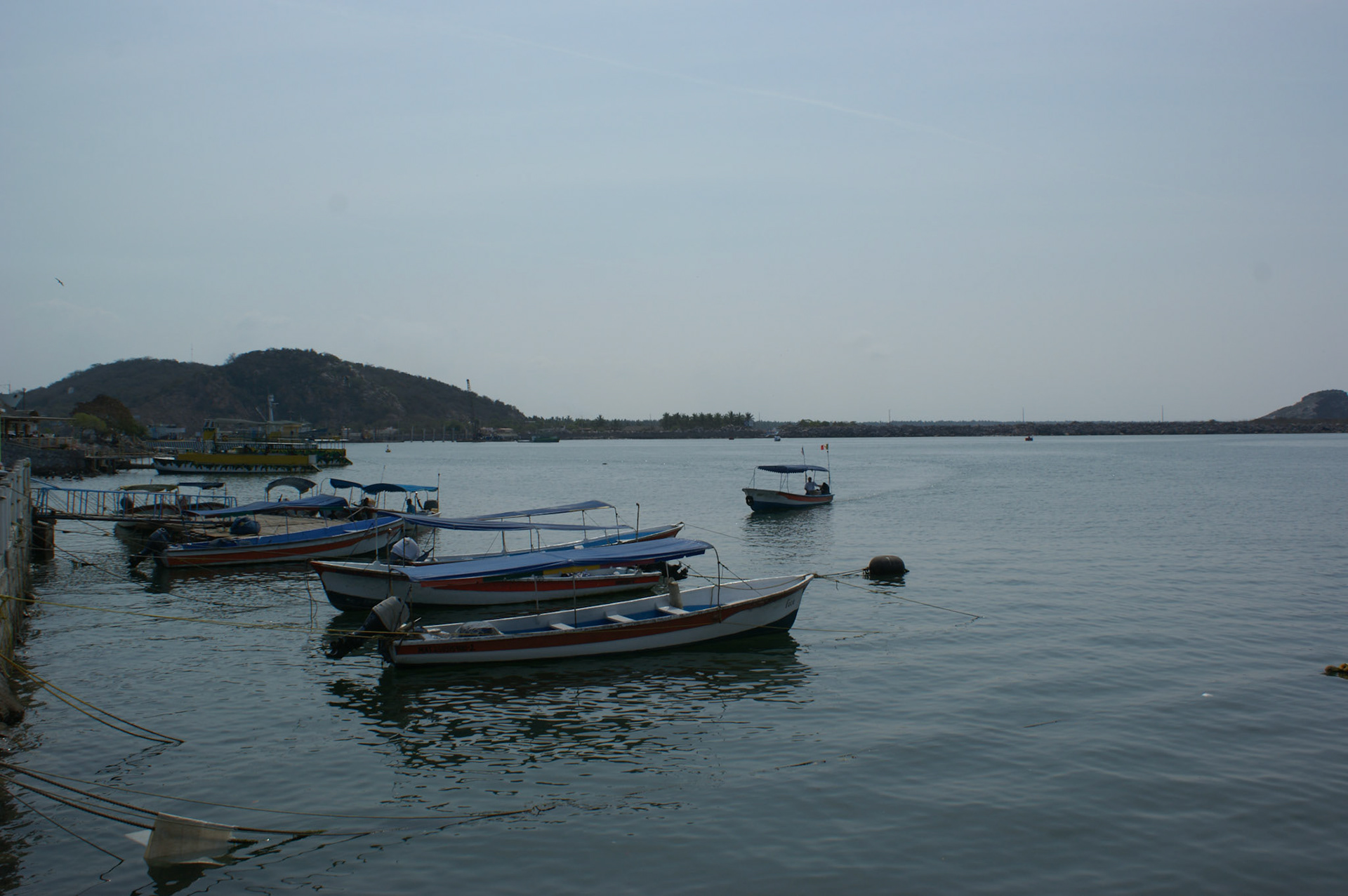 SONY DSC