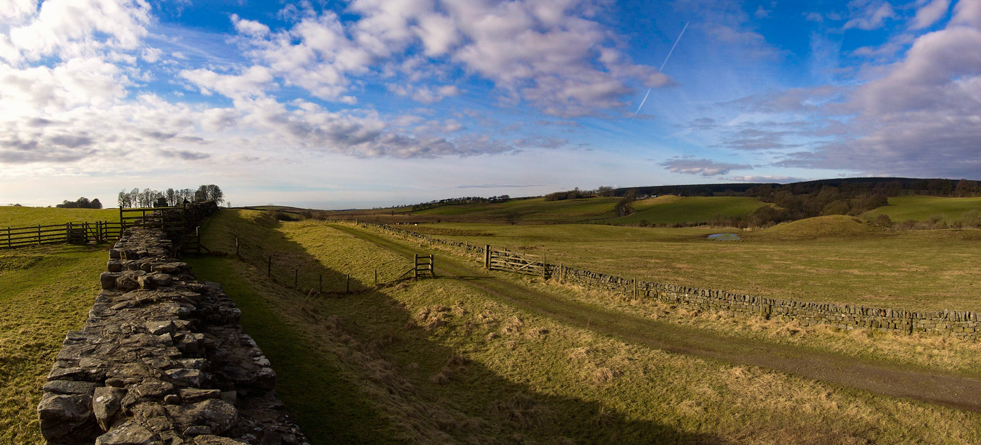 Panoramic view