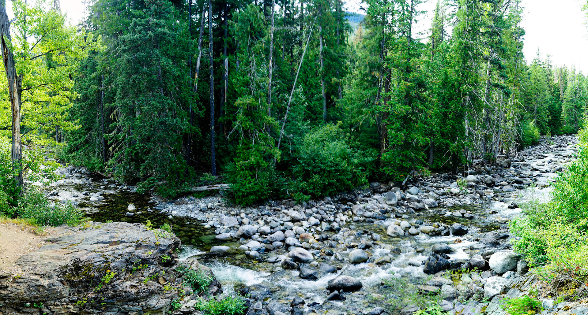 Panoramic view
