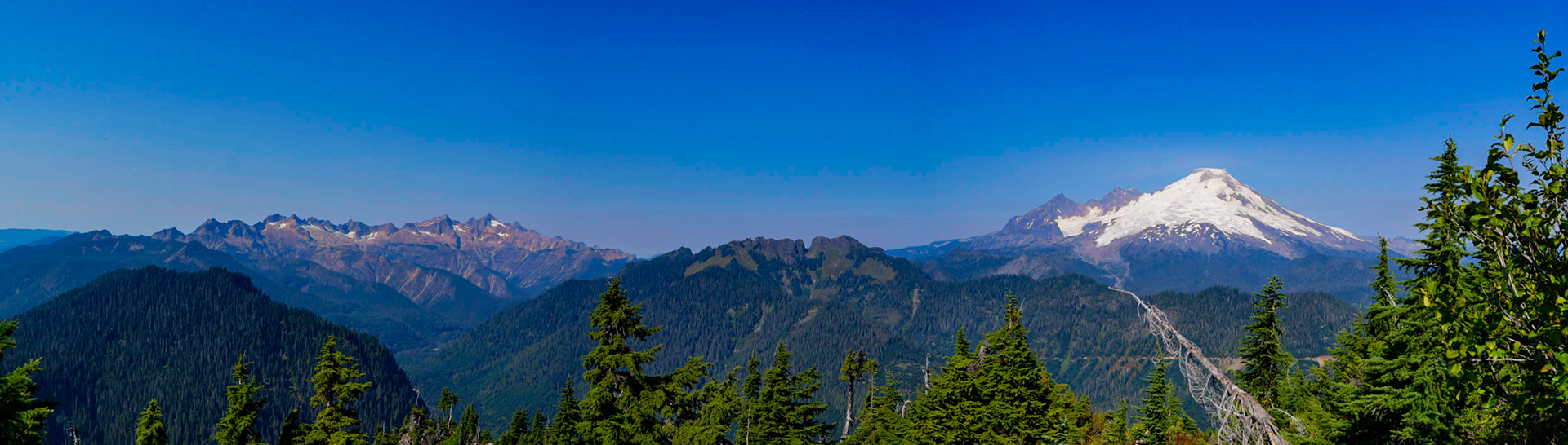 Panoramic view